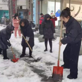以雪为令 闻令而行 ——审计干部开展除雪保畅行动