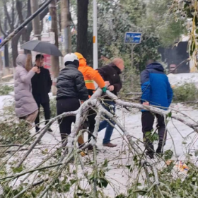 铲雪除障 情暖寒冬