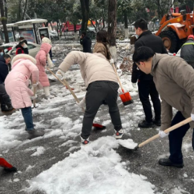 冰雪压断树枝阻挡城市道路,楼区司法局上街除雪保畅通