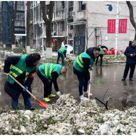 以雪为令 苗木花卉管理中心 战冰雪 保畅通