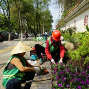 春季绿化栽植忙 不负春光展新颜