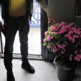顺手牵“花”?