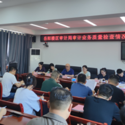 岳阳楼区审计局召开审计业务质量检查情况通报会暨审计业务学习交流会