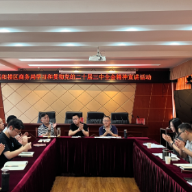 区商务局学习贯彻党的二十届三中全会精神