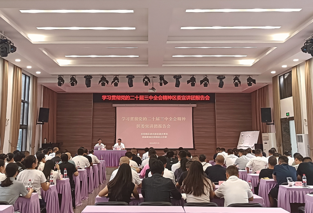 望岳路街道：召开学习贯彻党的二十届三中全会精神区委宣讲团报告会