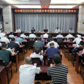 我区2024年电网建设暨迎峰度冬保供工作调度会召开