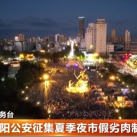 岳阳公安征集夏季夜市假劣肉制品线索