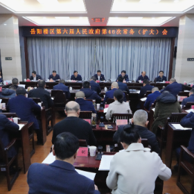 区政府召开第46次常务（扩大）会议
