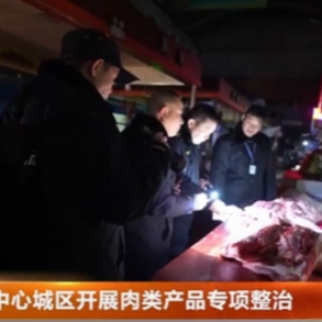 中心城区主开展肉类产品专项整治行动