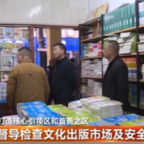 督导检查文化出版市场及安全生产工作