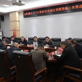 全区大气污染防治及城区禁燃禁炮工作推进会召开