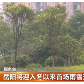 岳阳将迎入冬以来首场雨雪天气