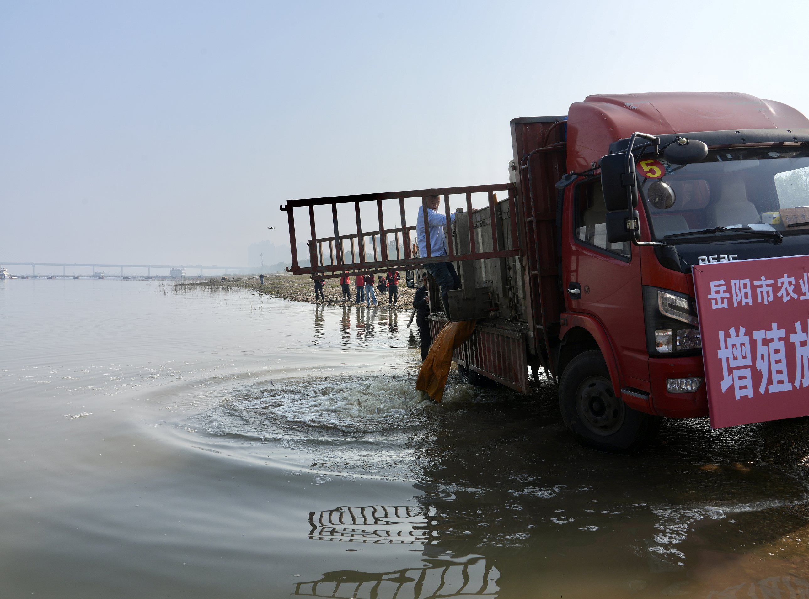 ScreenShot_2025-10-28_162008_138.png ScreenShot_2025-10-28_162008_138.png