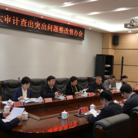 刘晓英率队来岳阳楼区调研审计查出问题整改工作