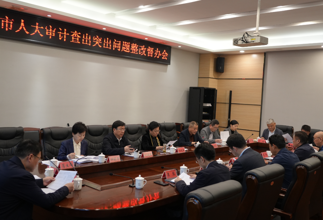 刘晓英率队来岳阳楼区调研审计查出问题整改工作