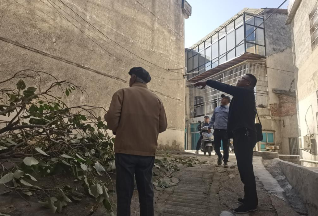 锯除危树，守护群众“头顶上的安全”