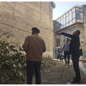 锯除危树,守护群众“头顶上的安全”
