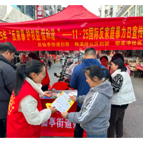 梅溪桥社区妇联联合开展“国际反家庭暴力日”宣传活动