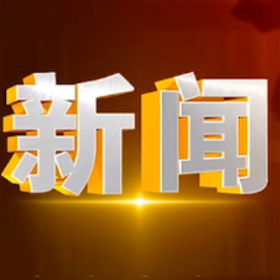 2025年11月24日楼区新闻