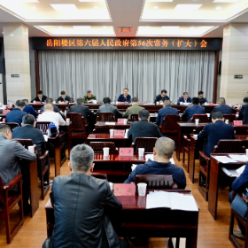 区政府召开第56次常务(扩大)会议