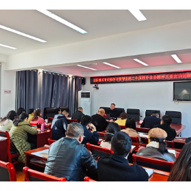 深学笃行强思想   审计护航新征程——岳阳楼区审计局深入学习贯彻党的二十届四中全会精神