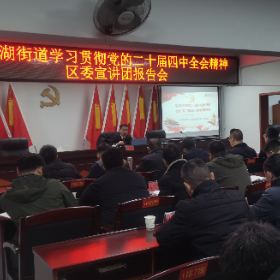 全会精神润基层 凝心聚力促发展——枫桥湖街道开展党的二十届四中全会精神宣讲活动