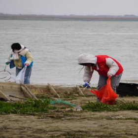 护河行动,青春之声——岳阳楼区开展河小青志愿活动