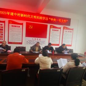 建中村组织学习中央一号文件