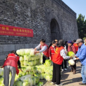 一颗白菜一份情 助农惠农践初心
