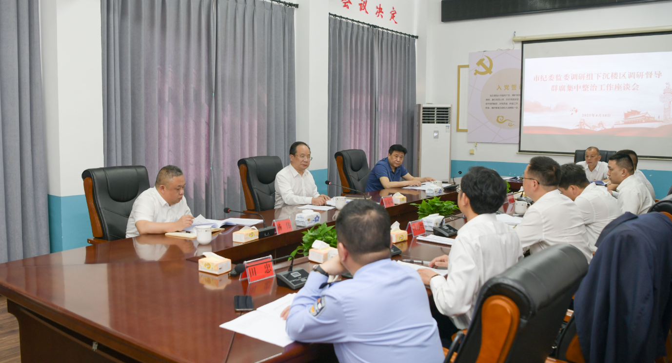 市纪委监委调研组到我区调研督导集中整治等工作
