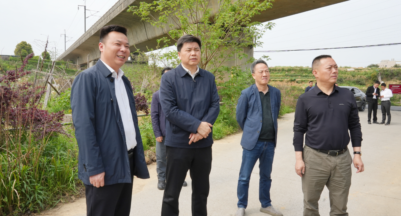 曾平原督导高铁沿线风貌提升和环境综合整治工作