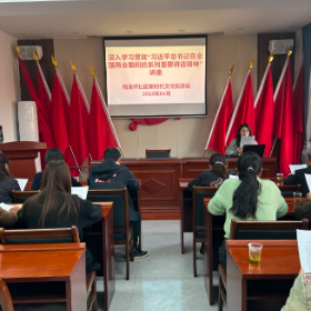 梅溪桥社区开展2025年深入学习贯彻“习近平总书记在全国两会期间的重要讲话精神”讲座