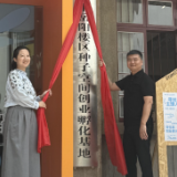 岳阳楼区种子空间创业孵化基地今日揭牌