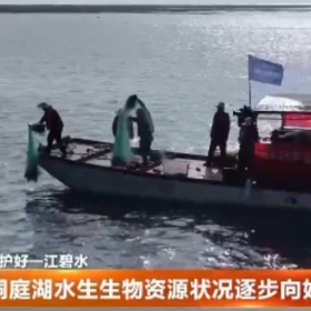 洞庭湖水生生物资源状况逐步向好