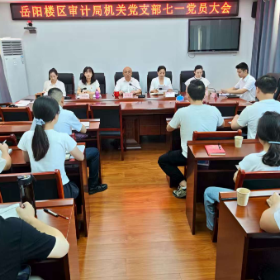 党课凝心强作风  审计聚力启新程