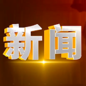 2025年8月11日楼区新闻