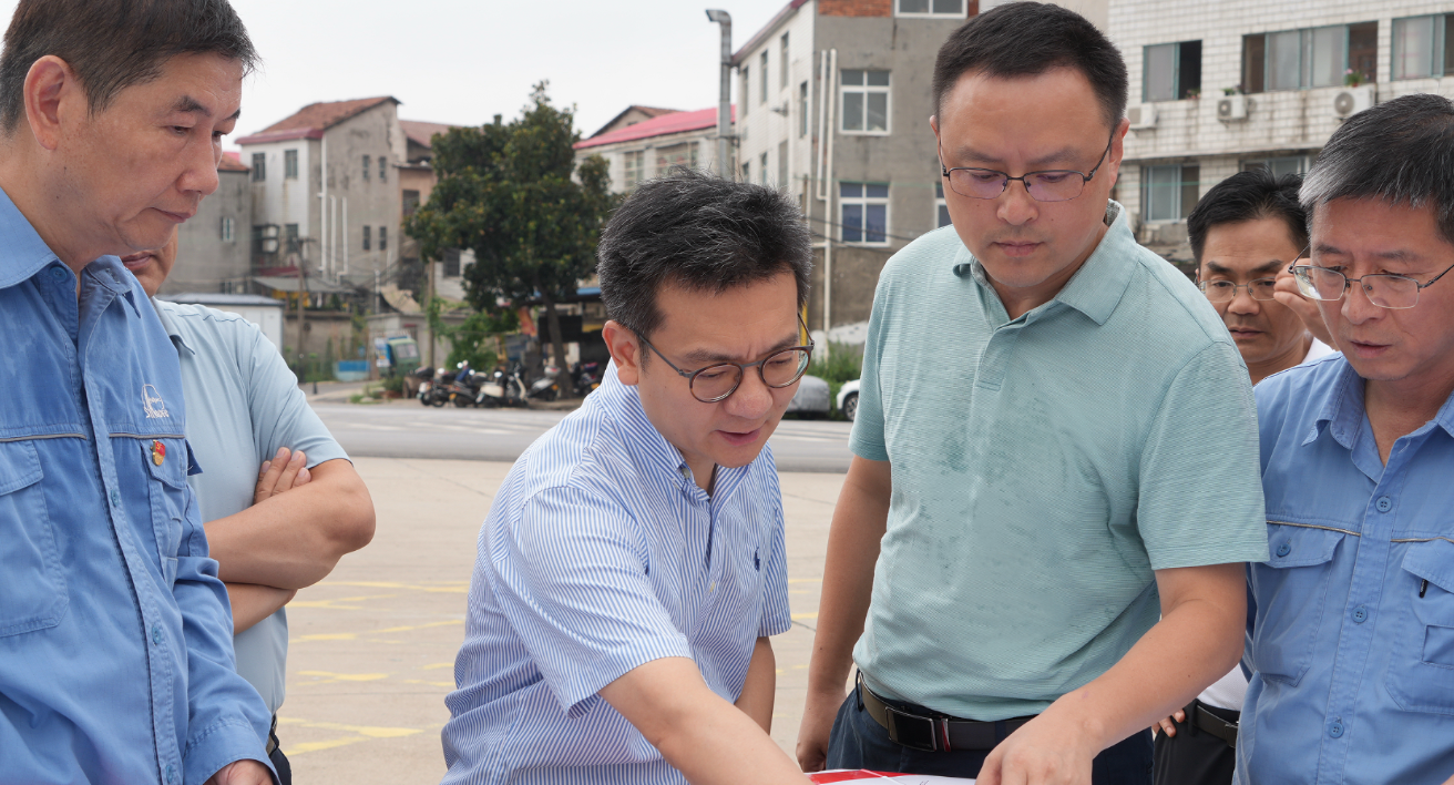 段宁调研我区己内酰胺搬迁改造项目工作