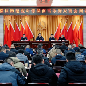 我区召开防范应对低温雨雪冰冻灾害会商调度会