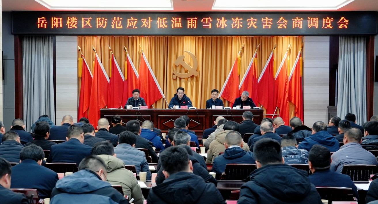 我区召开防范应对低温雨雪冰冻灾害会商调度会