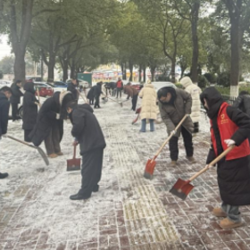 枫桥湖街道:文明实践志愿行 除雪保畅暖民心