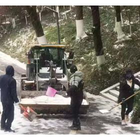 闻雪而动 除冰保畅——苗木花卉管理中心高效应对白杨坡公园冰雪天气