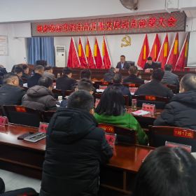 马跃枫桥启新程 实干笃行促发展 —— 枫桥湖街道召开2026年高质量发展动员部署大会