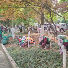 不负春光添新绿 精细补植润巴陵