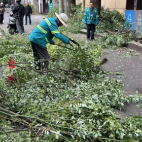 快速响应解民忧 协同处置除隐患 —— 区城管督查考评中心高效推进吕家畈巷危树隐患处置