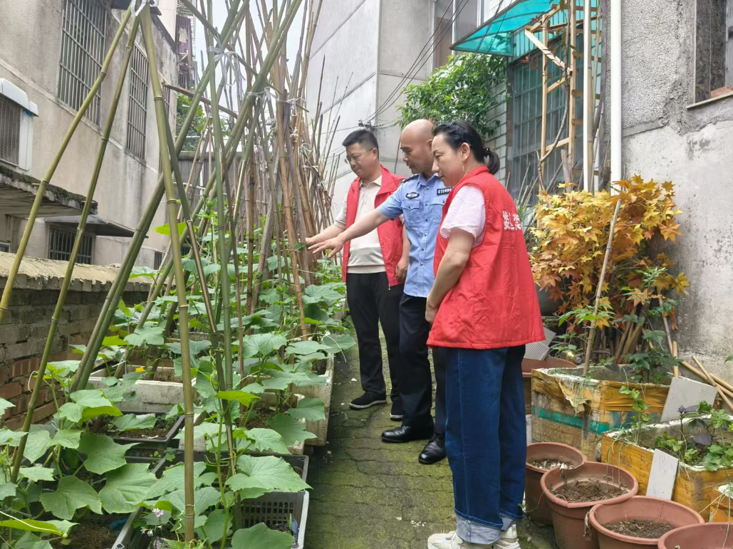 网格排查无死角 禁种铲毒护平安 鲤鱼嘴社区开展联合禁毒踏查专项行动