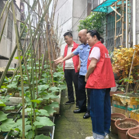 网格排查无死角 禁种铲毒护平安 鲤鱼嘴社区开展联合禁毒踏查专项行动