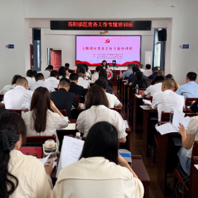岳阳楼区举办党务工作专题培训班