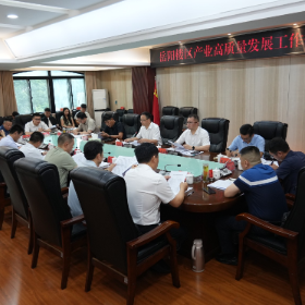 岳阳楼区召开产业高质量发展工作推进会