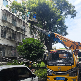 万家坡社区:安全生产月办实事 修剪危树解民忧