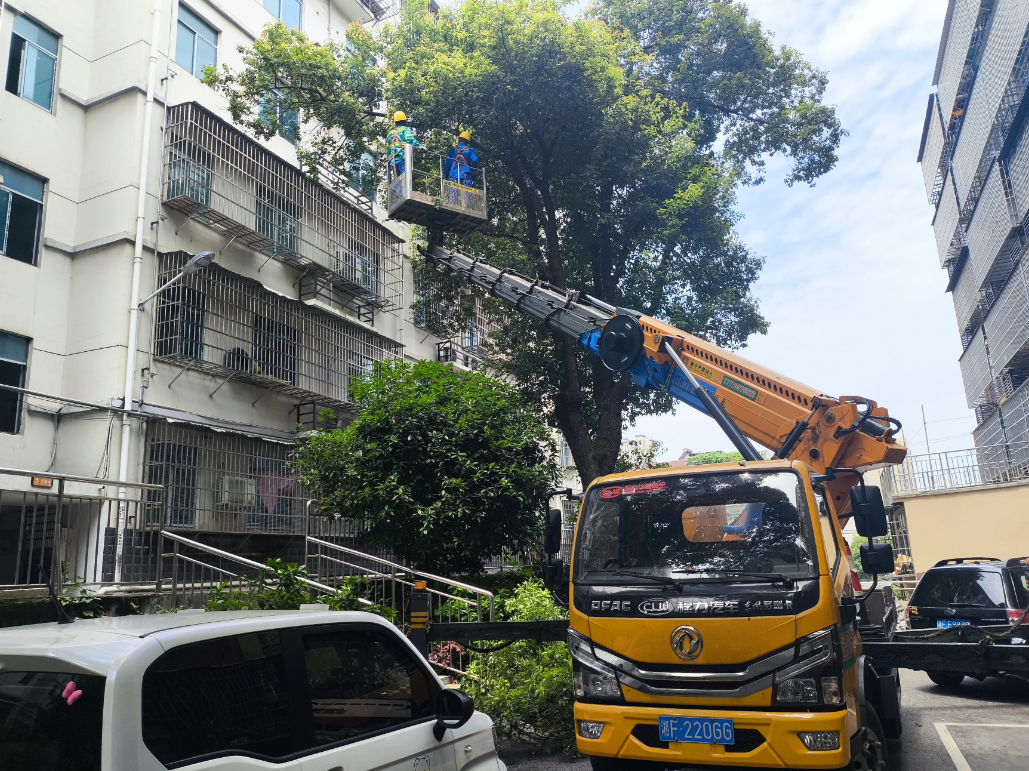 万家坡社区：安全生产月办实事 修剪危树解民忧